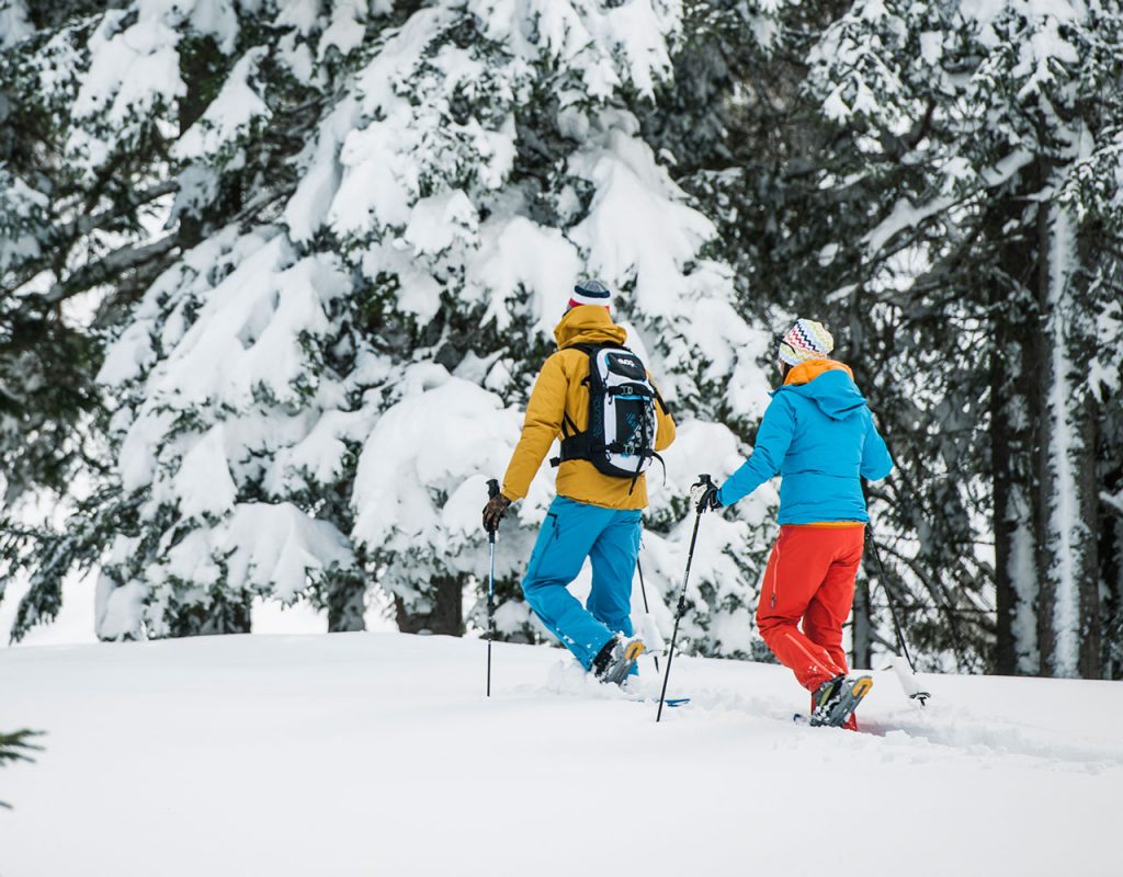 Ferienwohnung stoanmandl - Neustift im Stubaital - Winter Schneeschuhwandern