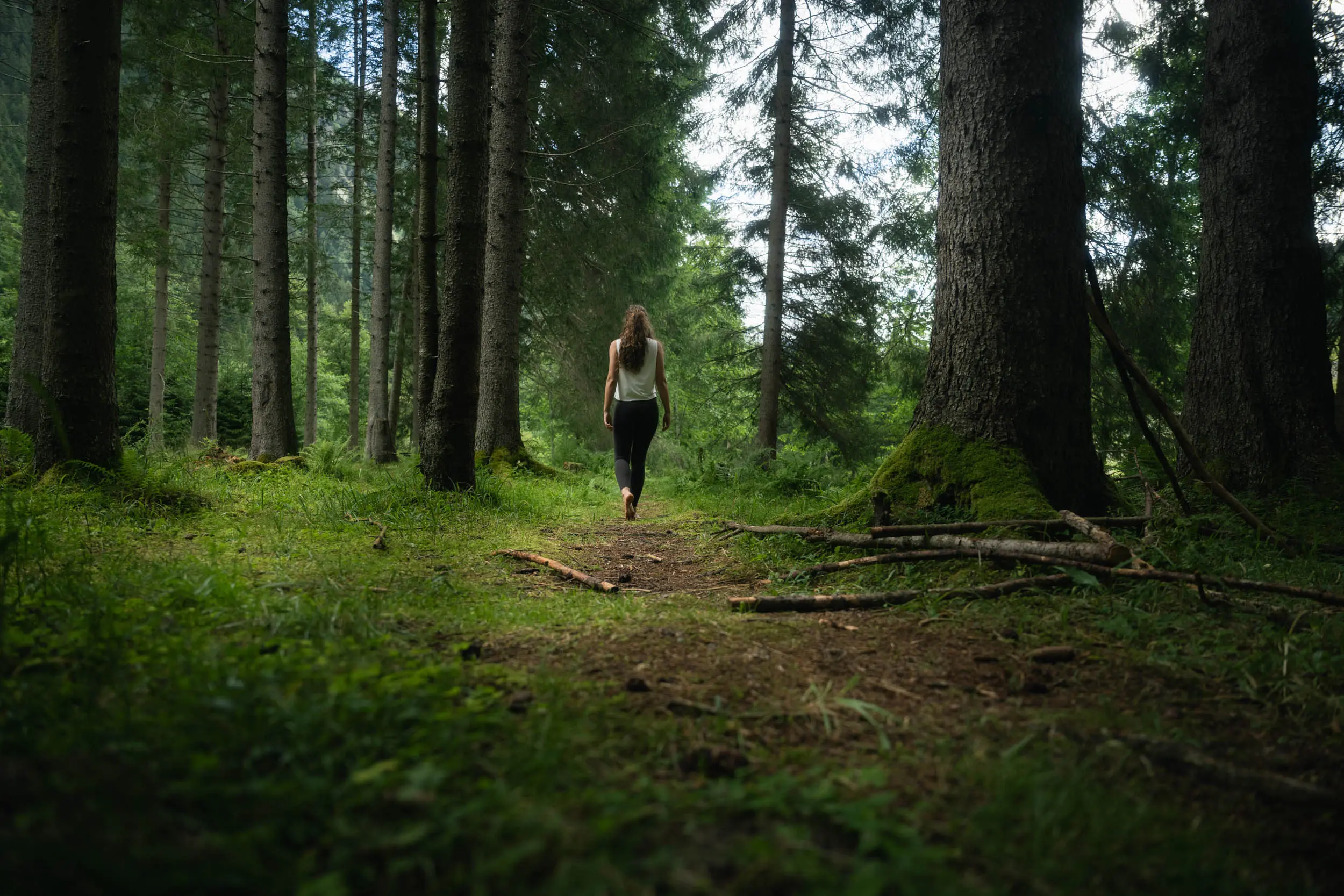 andreschoenherr__NZ94641 Waldbaden – Spaziergang im Wald bei Neustift im Stubaital
