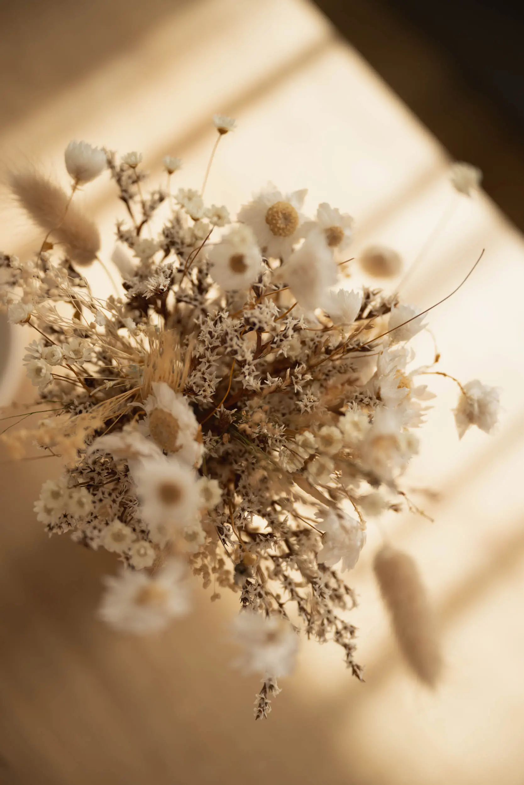 andreschoenherr__NZ98730 Trockenblumen-Detail im stoanmandl Appartement