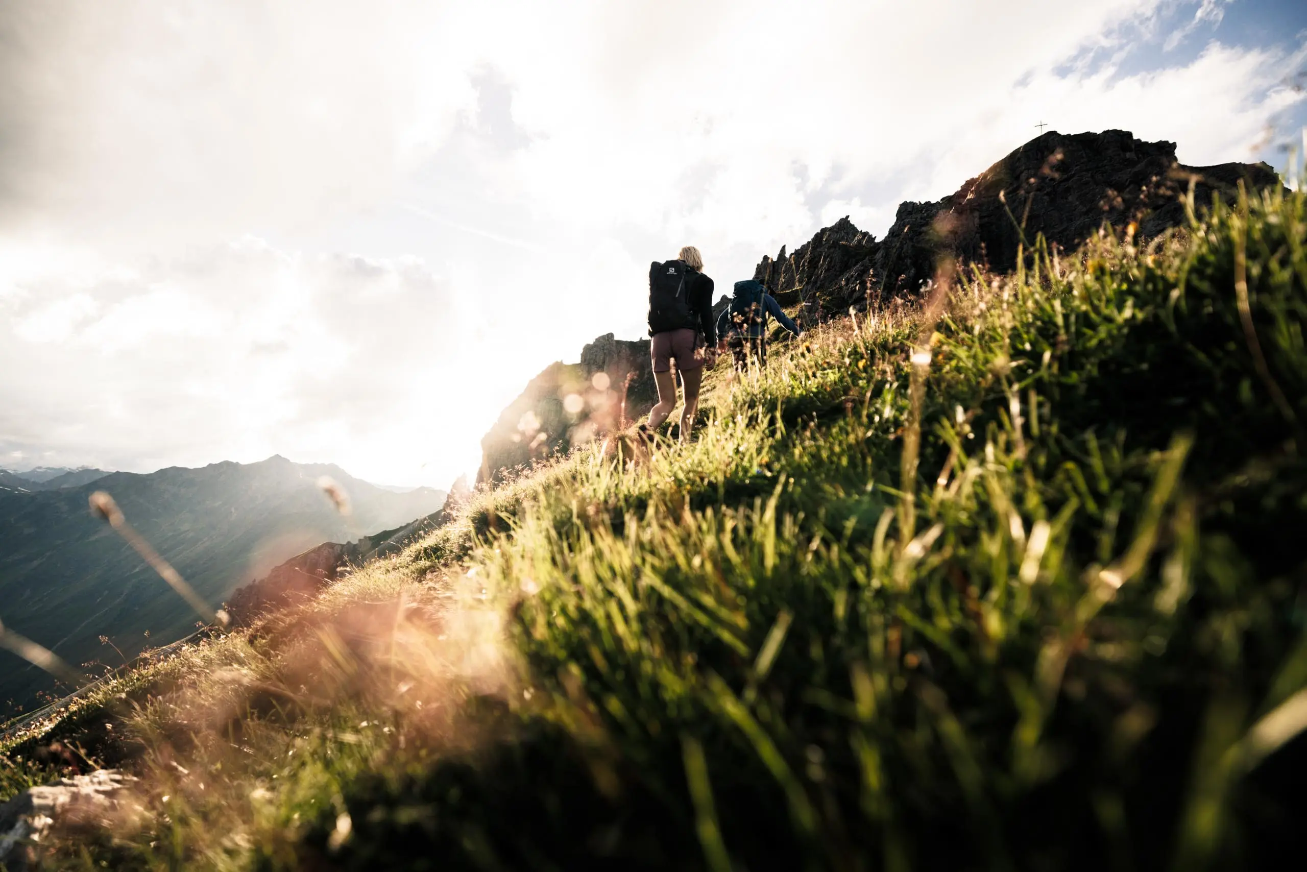 _DA_3154_MaxDraeger_2023_2800px_srgb Bergwiese im Stubaital